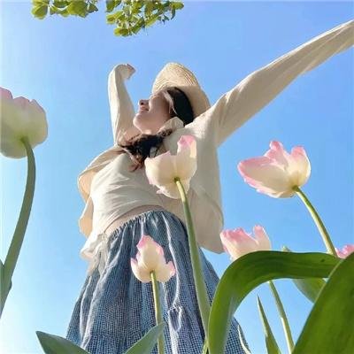 风临樱花开